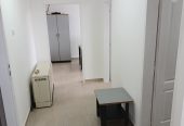Izdajem magacin Novi Banovci blizu auto puta BG-NS