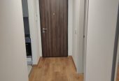 Novi Beograd, Savada jednosoban lux namešten 550€